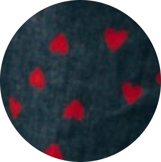 I'm A Star Horseshoe Jorts 'Kokoro Denim'